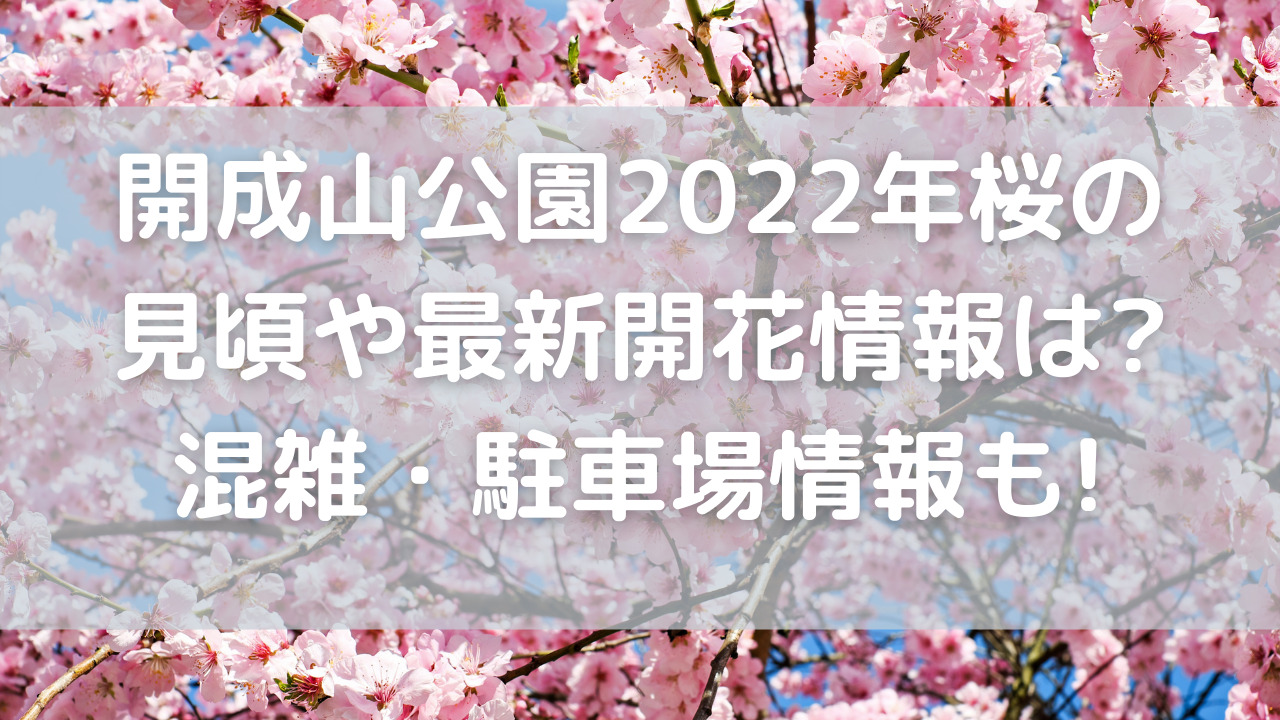 開成山公園22年桜の見頃や最新開花情報は 混雑 駐車場情報も 素晴らしい日常